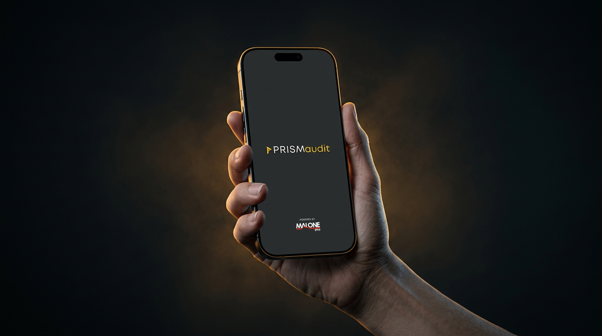 PRISMaudit project preview